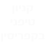 פרויקט חיפוי זכוכיות בקניון 'טיפני' בקפריסין