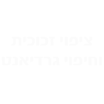 ציפוי זכוכית וחיפוי גרדיאנט