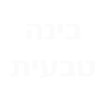 פרויקט מיתוג קירות בחברת 'בינה טבעית'