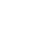 GM